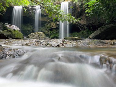 Ormanın derinliklerindeki şelale