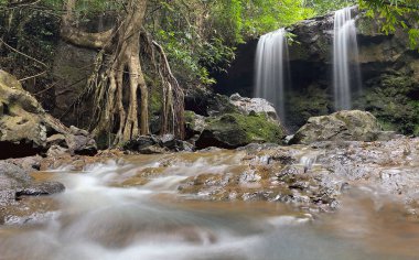 Ormanın derinliklerindeki şelale
