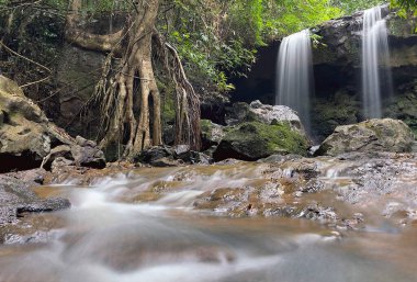 Ormanın derinliklerindeki şelale