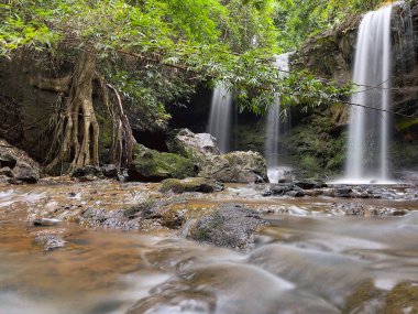 Ormanın derinliklerindeki şelale