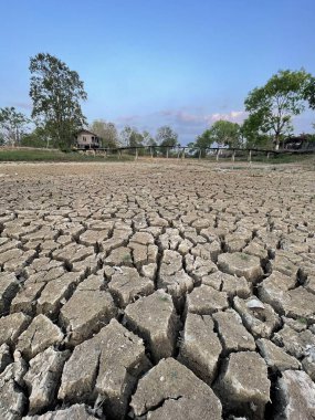 Platoda kurak mevsim kuraklığı