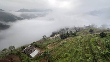 Dong Van Stone yaylası, Ha Giang.