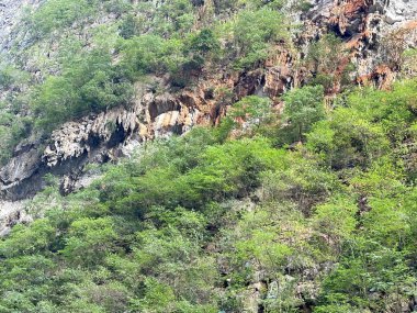 Dong Van Stone yaylası, Ha Giang.