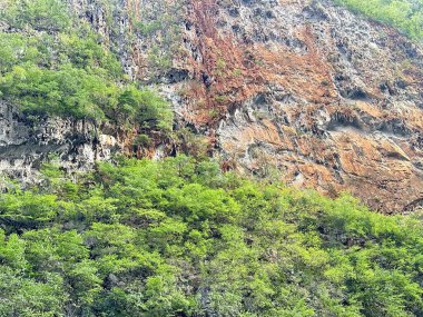 Dong Van Stone yaylası, Ha Giang.