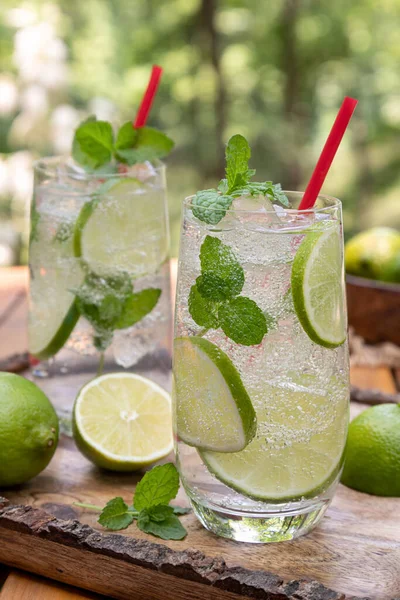 Mojito Cocktail Lime Slices Mint Leaves Outdoors Wooden Tray Nature — Stock Photo, Image