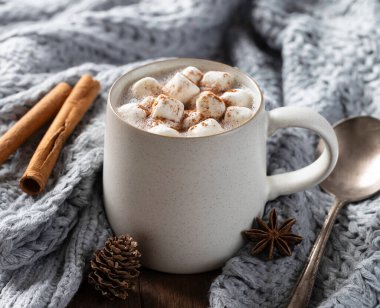 Bir fincan sıcak çikolata ve battaniyeye sarılmış tarçın. 