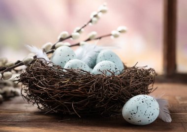 Speckled blue eggs in a nest and pussy willow branches on a wooden table by a window with colorful spring background