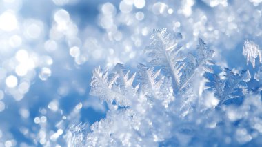 Macro shot of intricate frost crystals, sparkling in the sunlight with a bokeh effect on a winter day. clipart