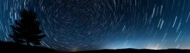 Long-exposure shot of a night sky with star trails forming circular patterns around the North Star, silhouetting a tree against the horizon. clipart