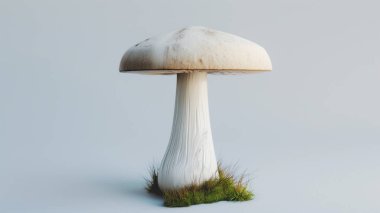 Large, realistic mushroom with detailed textures, standing on a small patch of grass, isolated on a plain background. clipart