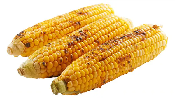 stock image Grilled corn cobs with charred marks, arranged against a white background.