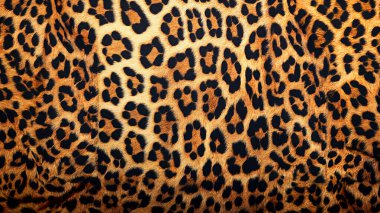 Bir leoparın kürkünün cesur, çarpıcı deseni, ikonik altın-sarı ve siyah noktalarını ayrıntılı bir şekilde gösteriyor..