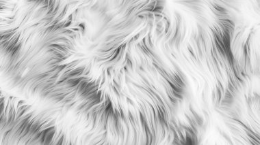 Close-up of luxurious white fur, its soft and fluffy texture inviting touch and warmth. clipart