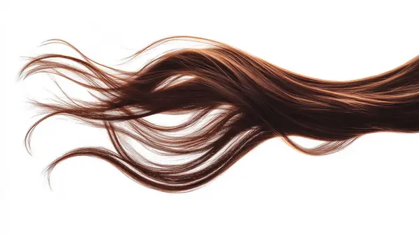 stock image A flowing lock of brown hair isolated on a white background, highlighting its smooth and silky texture.