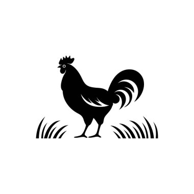 Alan simgesindeki tavuk beyaz arkaplanda izole edildi