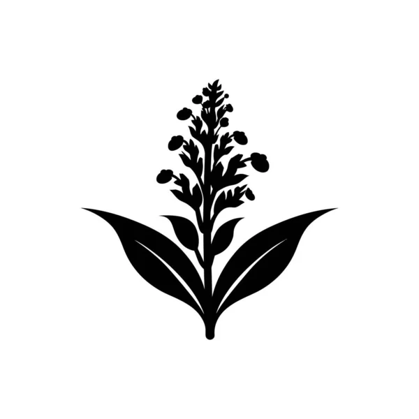 Amarante Icône Fleur Isolé Sur Fond Blanc — Image vectorielle