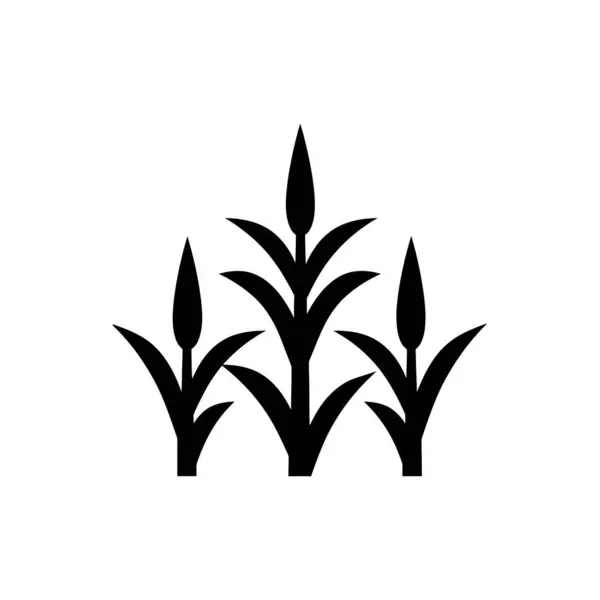 Ikona Pola Kukurydzy Izolowana Białym Tle — Wektor stockowy