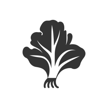 Beyaz Arkaplan Üzerine Bok Choy Simgesi - Basit Vektör İllüstrasyonu