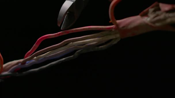 Technik Usuwania Bomb Przecina Miedziany Kabel Nożycami Drutu Ekstremalnych Makrach — Wideo stockowe