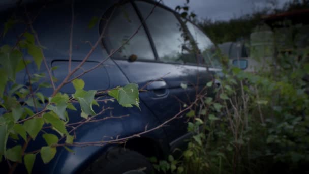 Opuszczony Niemiecki Samochód Lat Tych Spoczywa Częściowo Zalesionym Terenie Zniszczony — Wideo stockowe