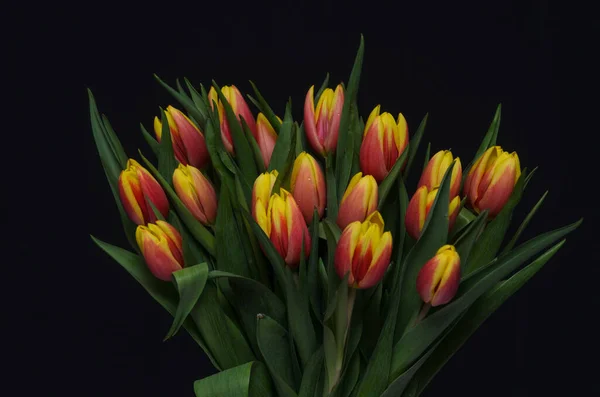 어두운 배경에 꽃다발 — 스톡 사진