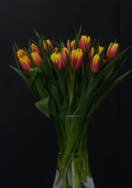어두운 배경에 꽃다발 — 스톡 사진