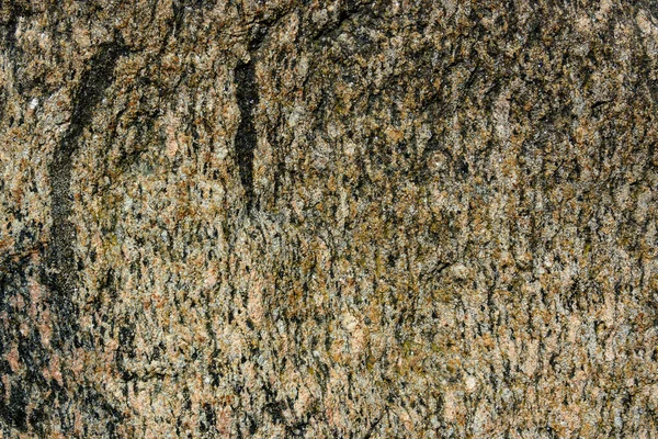 Photo Texture Huge Stone Boulder Park — Stock Photo, Image