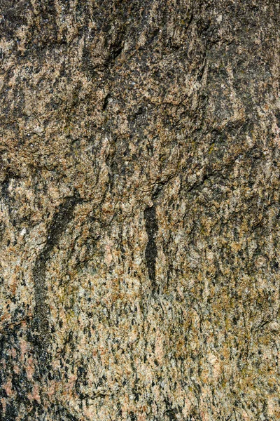 Textura Foto Uma Pedra Enorme Pedregulho Parque — Fotografia de Stock