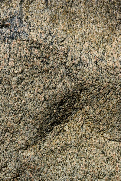 Foto Textura Una Piedra Enorme Roca Parque — Foto de Stock