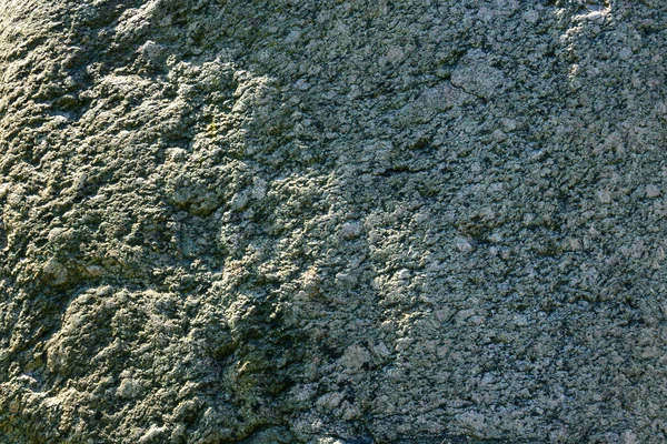 Фото Текстура Огромного Камня Валун Парке — стоковое фото