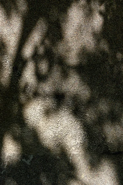 Spring Sunlight Shadows Concrete Wall Background Patterns Wall — Stock Photo, Image