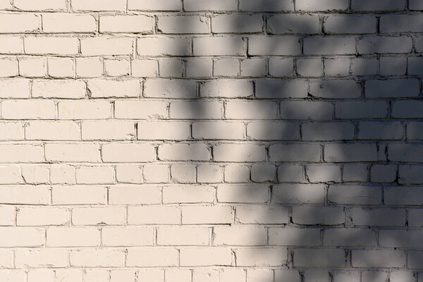 shadows from trees and sunlight on the wall of the building 4