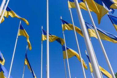 Rusya 'nın Letonya' daki büyükelçiliği yakınlarında mavi gökyüzüne karşı Ukrayna bayrakları