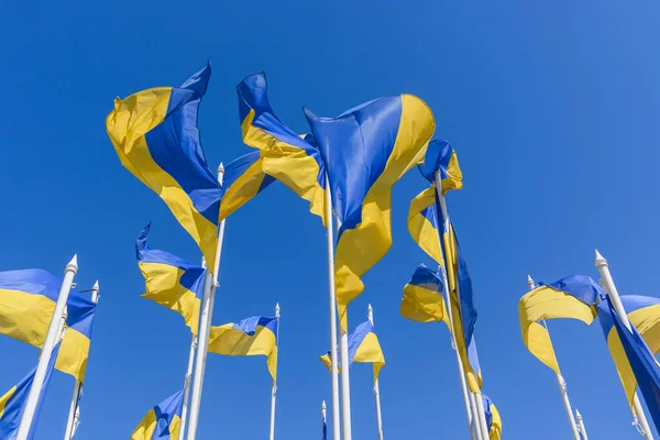 俄罗斯驻拉塔维亚大使馆附近蓝天上的乌克兰国旗12 — 图库照片
