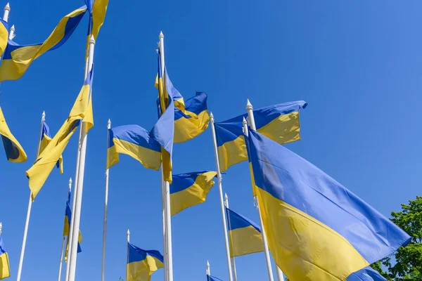 Vlaggen Van Ukraine Tegen Blauwe Lucht Bij Russische Ambassade Latvia — Stockfoto