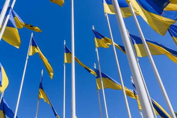 Vlajky Ukrajiny Proti Modré Obloze Blízkosti Velvyslanectví Ruska Latvii — Stock fotografie