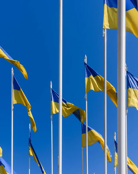 Flaggen Der Ukraine Gegen Den Blauen Himmel Der Nähe Der — Stockfoto