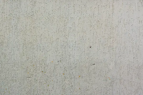 Escaravelho Casca Parede Rebocada Cinza Pintado — Fotografia de Stock