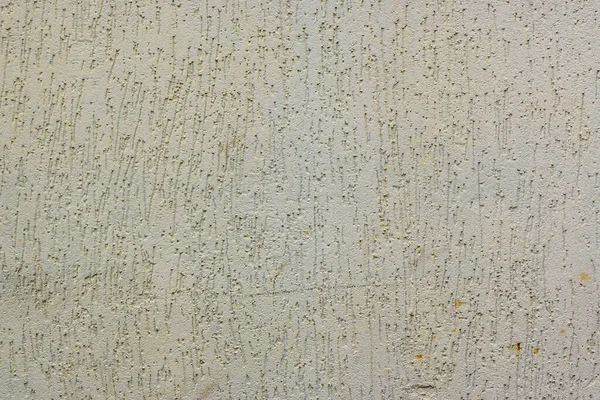 Kulit Kumbang Diplaster Dinding Dan Dicat Abu Abu — Stok Foto
