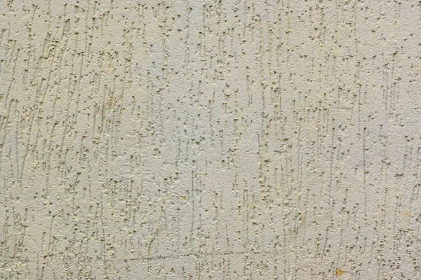 Kulit Kumbang Diplaster Dinding Dan Dicat Abu Abu — Stok Foto