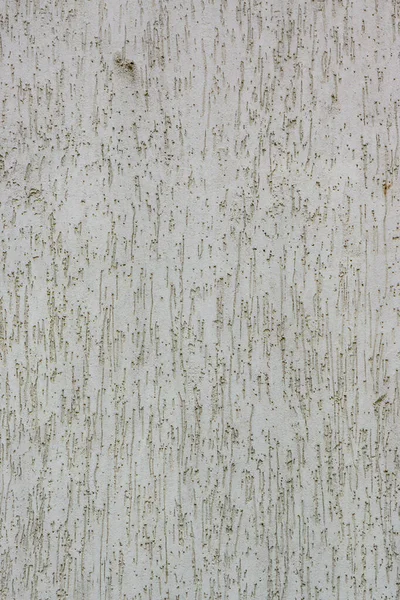 樹皮のビートルは壁に塗られ 灰色4を塗りました — ストック写真