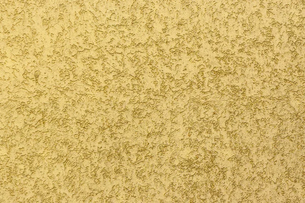 Жук Короед Оштукатуренная Стена Окрашены Желтый — стоковое фото