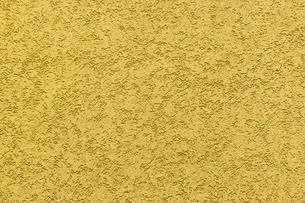 Escarabajo Corteza Pared Yeso Pintado Amarillo — Foto de Stock