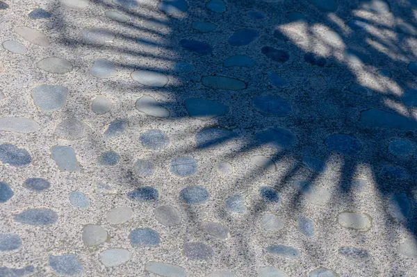 Parlak Güneşin Altında Duvardaki Palmiye Yapraklarının Gölgesi — Stok fotoğraf