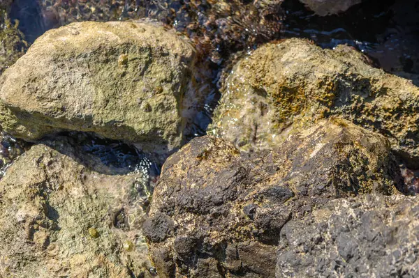 Piedras Grandes Mar Playa Como Fondo —  Fotos de Stock