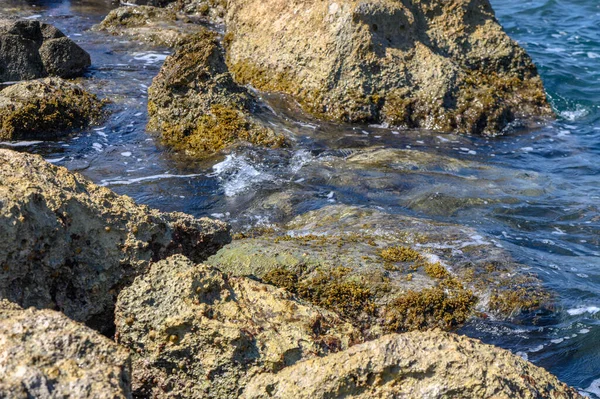 Grandes Pedras Mar Praia Como Fundo — Fotografia de Stock