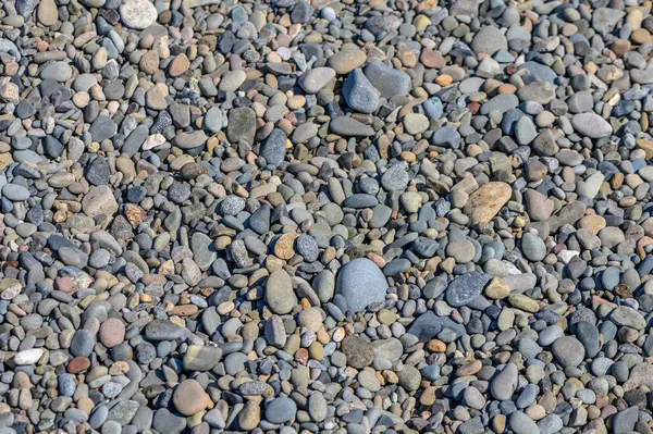 キプロス島のビーチの海小石 — ストック写真