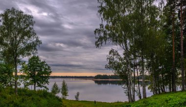 Daugava nehri yakınlarındaki Aizkraukle Letonya 'da doğa