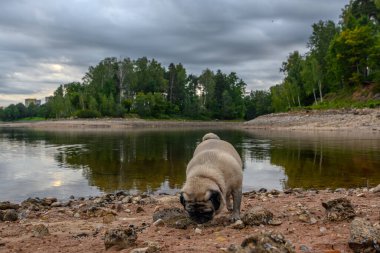 Nehirde eski pug banyosu.