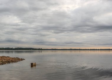 Daugava Nehri yakınlarındaki Aizkraukle Letonya doğası